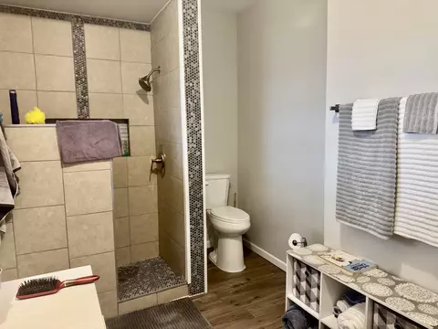 Bath - 223 E 2nd St, Oglesby, IL 61348 photo 1 of 2