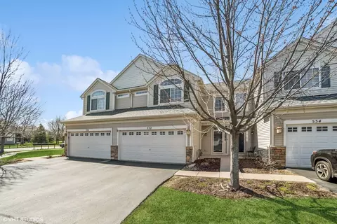532 Gunnison Ct, Gilberts, IL 60136