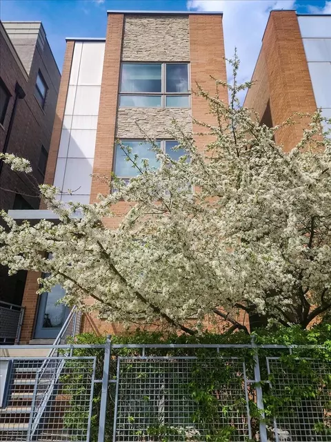 1350 W Diversey Pkwy #3, Chicago, IL 60614