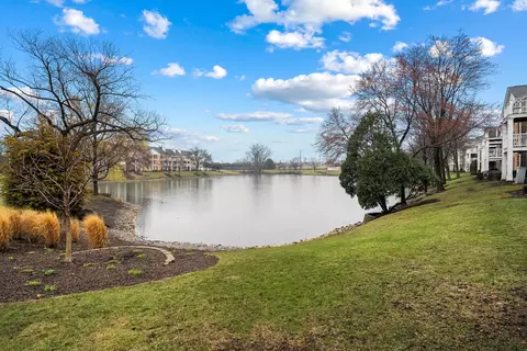 View/Area - 5501 Carriageway Dr #202A, Rolling Meadows, IL 60008 photo 1 of 2