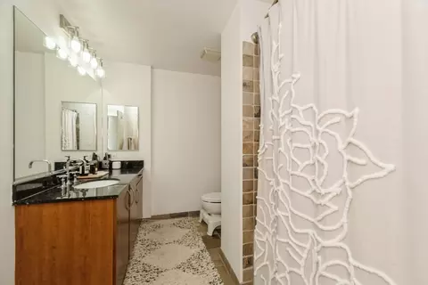 Bath - 225 S Sangamon St #702, Chicago, IL 60607 photo 1 of 1