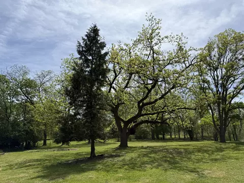 737 Becker Rd, Glenview, IL 60025 photo 7