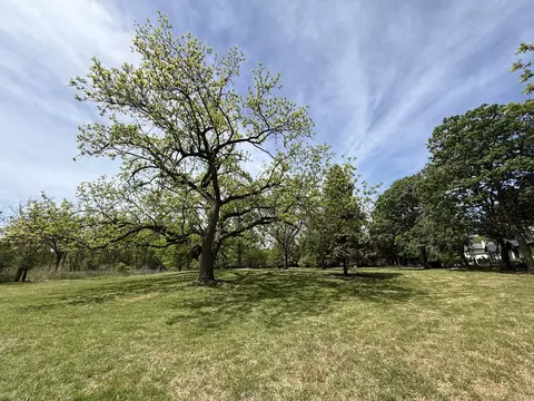 737 Becker Rd, Glenview, IL 60025 photo 10