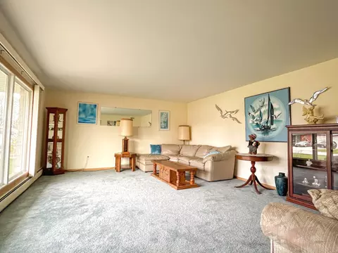 Living - 432 Miller St, Beecher, IL 60401 photo 1 of 2