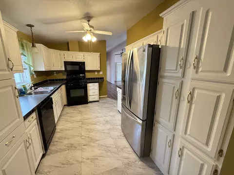 70 Begonia Dr, Matteson, IL 60443 photo 25