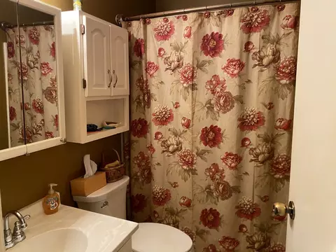 1323 Ewing St, Bloomington, IL 61701 photo 13