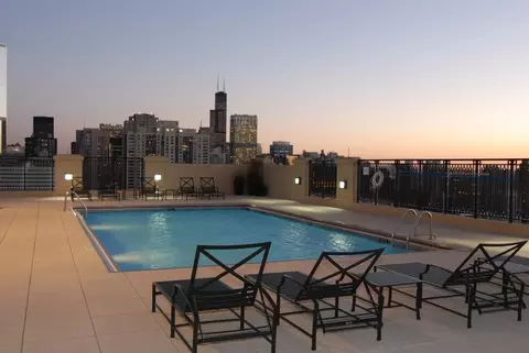 10 E Delaware Pl #9D, Chicago, IL 60611 photo 28