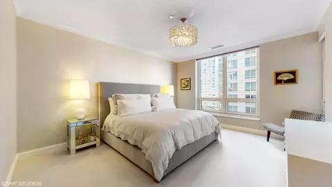 10 E Delaware Pl #9D, Chicago, IL 60611 photo 12