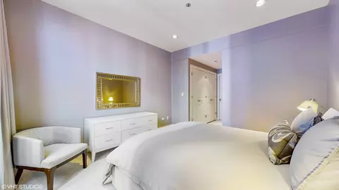 10 E Delaware Pl #9D, Chicago, IL 60611 photo 18