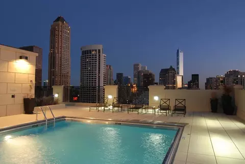 10 E Delaware Pl #9D, Chicago, IL 60611 photo 30