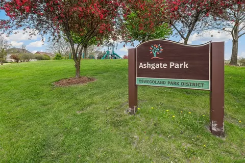 26824 Ashgate Xing, Plainfield, IL 60585 photo 46
