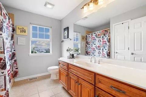 26824 Ashgate Xing, Plainfield, IL 60585 photo 26