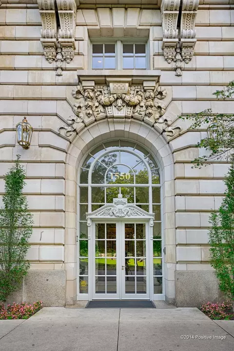 1550 N State Pkwy #501, Chicago, IL 60610