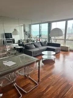 601 E 32nd St #1202, Chicago, IL 60616 photo 5