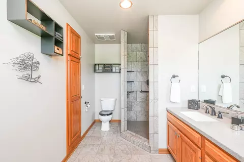 Bath - 1135 Eagle Cir, Bourbonnais, IL 60914 photo 2 of 4