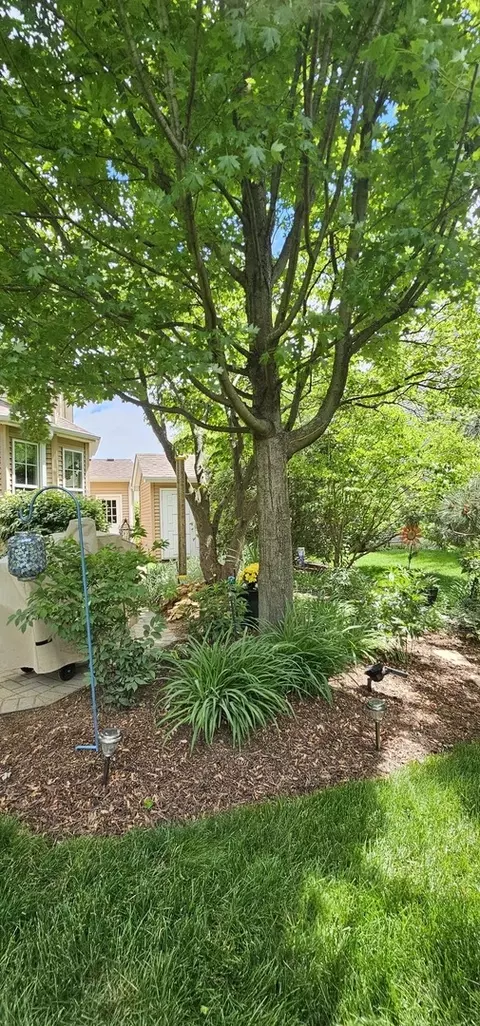Exterior - 12941 Grande Poplar Cir, Plainfield, IL 60585 photo 34 of 37