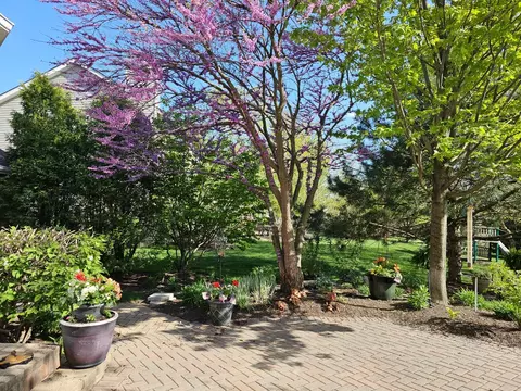 Exterior - 12941 Grande Poplar Cir, Plainfield, IL 60585 photo 12 of 37