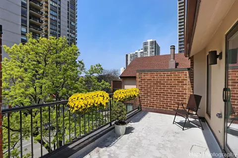 1340 N Sutton Pl, Chicago, IL 60610 photo 20