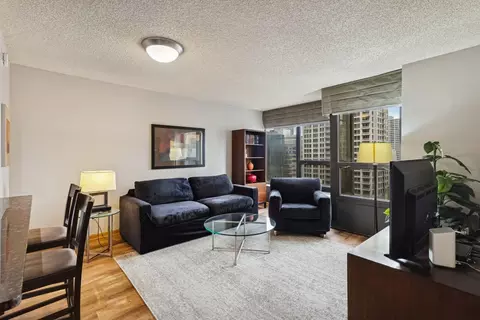 30 E Huron St #2103, Chicago, IL 60611 photo 4