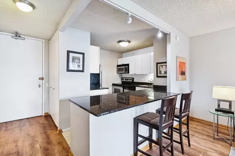 30 E Huron St #2103, Chicago, IL 60611 photo 8