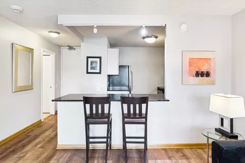 30 E Huron St #2103, Chicago, IL 60611 photo 12