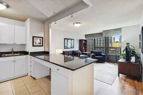 30 E Huron St #2103, Chicago, IL 60611 photo 3