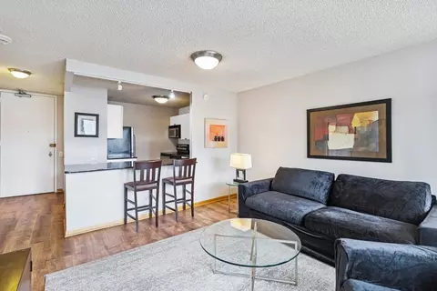30 E Huron St #2103, Chicago, IL 60611 photo 7