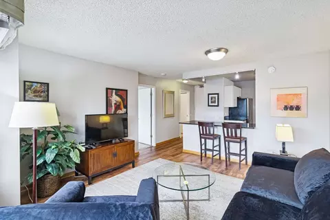 30 E Huron St #2103, Chicago, IL 60611 photo 6