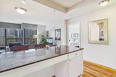 30 E Huron St #2103, Chicago, IL 60611 photo 11