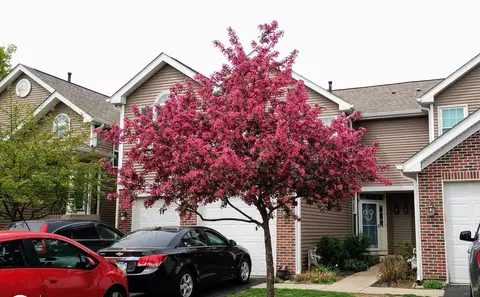 1373 Grayshire Ct, Elgin, IL 60120