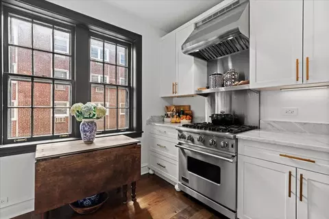 1316 Maple Ave #B2, Evanston, IL 60201 photo 13