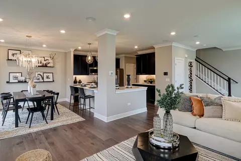 25453 W Emory Ln, Plainfield, IL 60544 photo 9