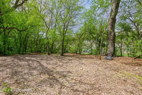 74 Timber Ter, Cary, IL 60013 photo 19
