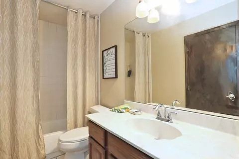 Bath - 4624 Thornbark Dr, Hoffman Estates, IL 60192 photo 1 of 2