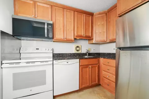 111 W Maple St #3207, Chicago, IL 60610 photo 5