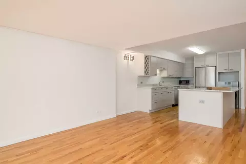 40 E 9th St #1417, Chicago, IL 60605 photo 6