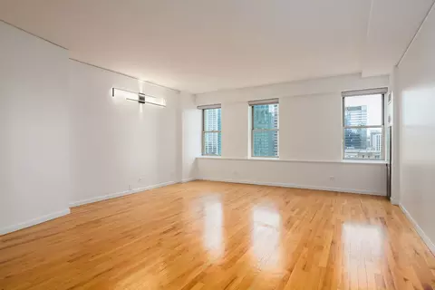 40 E 9th St #1417, Chicago, IL 60605 photo 4