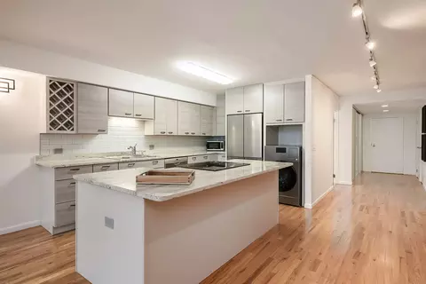 40 E 9th St #1417, Chicago, IL 60605 photo 18