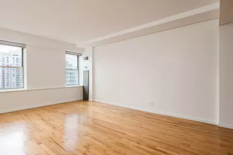 40 E 9th St #1417, Chicago, IL 60605 photo 5