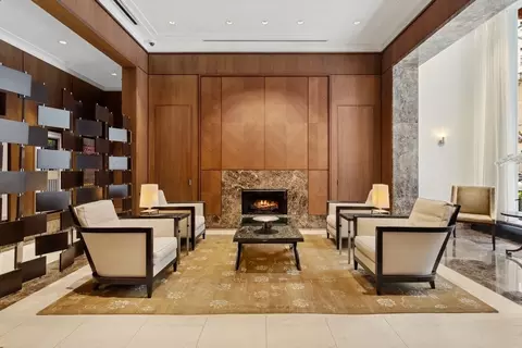 Living - 159 E Walton Pl #7F, Chicago, IL 60611 photo 1 of 5