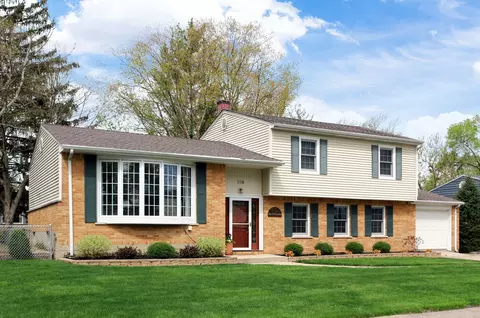 304 N Norman Dr, Palatine, IL 60074