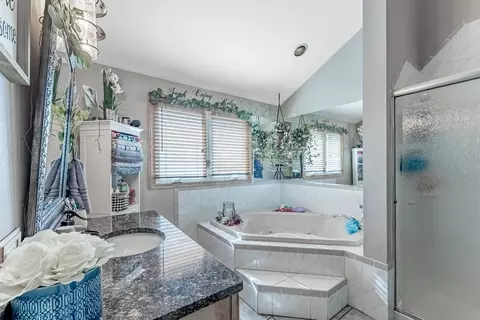 Bath - 15412 Hamlin Ave, Markham, IL 60428 photo 3 of 5