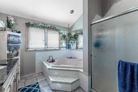 Bath - 15412 Hamlin Ave, Markham, IL 60428 photo 5 of 5