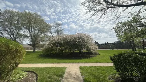 118 E Bailey Rd #D, Naperville, IL 60565 photo 14