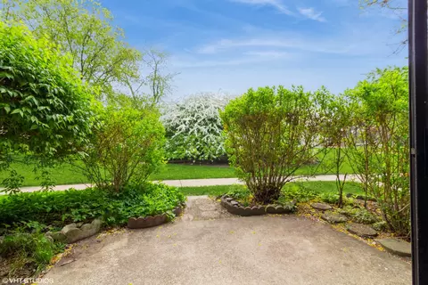 118 E Bailey Rd #D, Naperville, IL 60565 photo 12