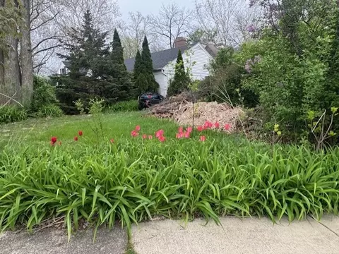 Exterior - 1010 E Illinois St, Wheaton, IL 60187 photo 6 of 6
