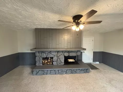 405 9th St, Mazon, IL 60444 photo 9