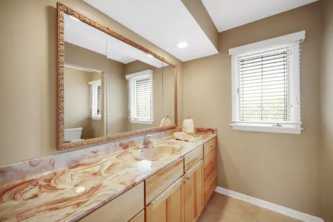 Bath - 1102 W Compton Pt, Addison, IL 60101 photo 4 of 6