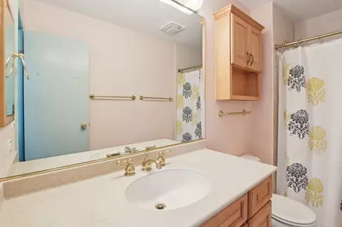 Bath - 4569 Gettysburg Dr, Rolling Meadows, IL 60008 photo 2 of 4