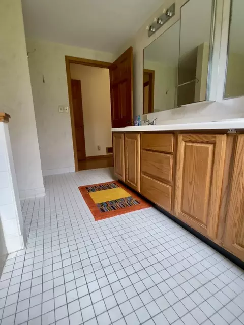 Bath - 1102 Lost Nation Rd, Dixon, IL 61021 photo 1 of 2